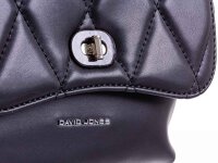 David Jones Cityrucksack 6212